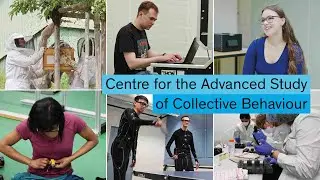 The Cluster of Excellence Centre for the Advanced Study of Collective Behaviour