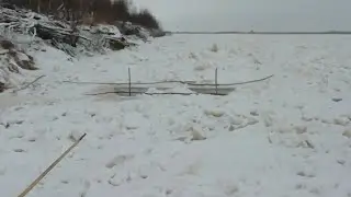 Ловим миногу. День 1#.