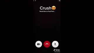 Novo Tiktok Now United | Sofya Plotnikova