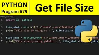 Python Program #79 - Check the File Size in Python