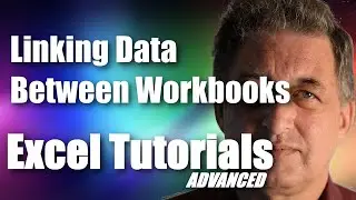 #15 Excel 365 Tutorial Advanced - Linking data between workbooks