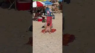 🇧🇷 İpanema Beach A Hot Day