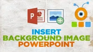 How to Insert a Background Image in Powerpoint 2019