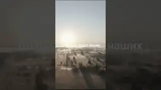 Бабкины внуки  - Шёпотом берёз 