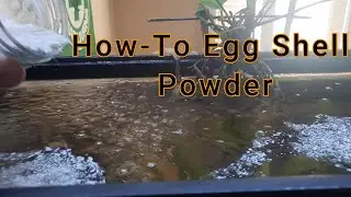 How to Make Egg Shell Powder