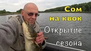 ЛОВЛЯ СОМА НА КВОК. ОТКРЫТИЕ СЕЗОНА 2020.