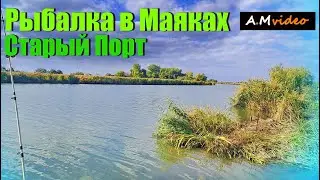 Сурен и Русалки ))Рыбалка в Маяках, Река Днестр, Старый Порт 18.10.23.