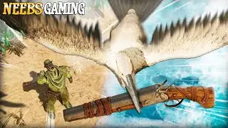 A Seagull Stole My Shotgun!!! - NeebsGaming