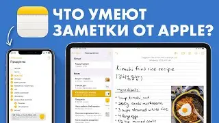 Гид по Apple Notes: обзор функций и советы | Заметки Apple