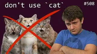 don't use cat! (intermediate) anthony explains #508