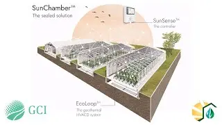 The Future of Cannabis Cultivation is Bright - Insights in Sealed Greenhouse CEA