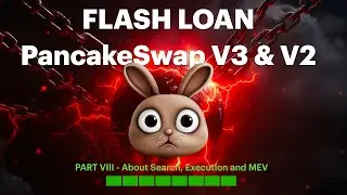 Flash Loan Arbitrage Smart Contract BSC Build - (Search, Execution and MEV)