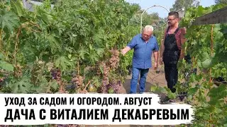 Дача с Виталием Декабревым. Уход за садом и огородом. Август