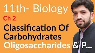 FSc Biology Book 1, Ch 2 - Oligosaccharides & Polysaccharides - Inter part 1 Biology