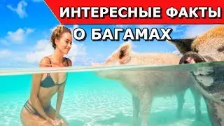 Багамские острова. Интересные факты о Багамских островах