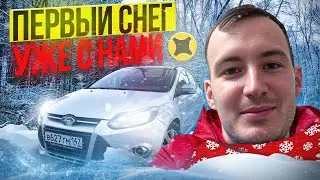 СТАЛО ЛИ ЛУЧШЕ В ЯНДЕКС ДОСТАВКЕ С ПРИХОДОМ ХОЛОДОВ И СНЕГА?