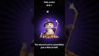 30 AUGUST HAMSTER KOMBAT DAILY COMBO CARDS TODAY