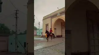 Horse power 💪 #shortvideo #short_video #viralvideo #horserace #youtubeshorts