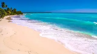 Waves on Saona Island - Relaxing Beach Sounds of the Caribbean Sea For Study, Meditation and Sleep