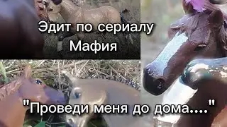 Эдит по сериалу Мафия-Проведи меня до дома...