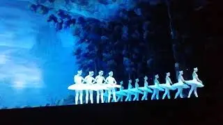 Танец маленький лебедей. МДМ. 19.08.19