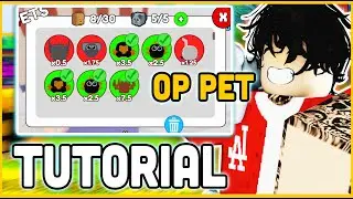 HOW TO GET (OP) PETS IN KAMEHAMEHA SIMULATOR (Tutorial)