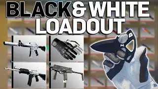 The BEST BLACK and WHITE Themed CS2 Loadout! Cheap & Expensive