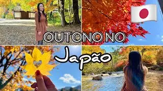 Como é o outono no Japão!🇯🇵🍁