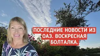 Последние новости из ОАЭ. Воскресная болталка. Новости Дубай.