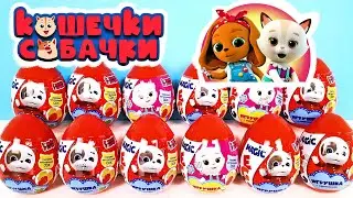 ПЛАСТИКОВЫЕ СЮРПРИЗЫ КОШЕЧКИ-СОБАЧКИ 2022! Игрушки по мультику Magic Eggs Kinder Surprise unboxing