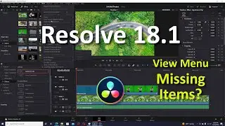 Resolve 18.1 | View Menu Changes