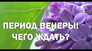 ПЕРИОД ВЕНЕРЫ! ЧТО ЖДАТЬ?