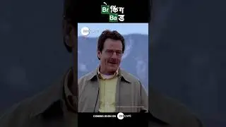 The 