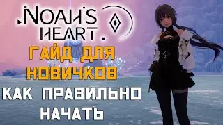 ГАЙД по Noahs Heart для НОВИЧКОВ | Как правильно начать!