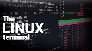 How to use the Linux command line (Basic commands and tips for beginners)