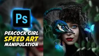 peacock cut out 