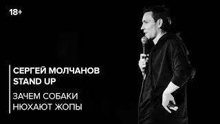 Stand Up. Сергей Молчанов. Зачем собаки нюхают жопы