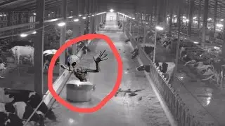 After Watching the CCTV Cameras We Couldn't Believe Our Eyes | You Have To See It