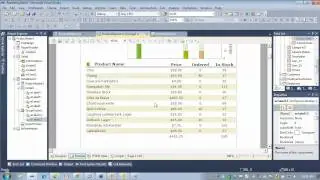 DevExpress Webinars - Ask the DevExpress Reporting Team