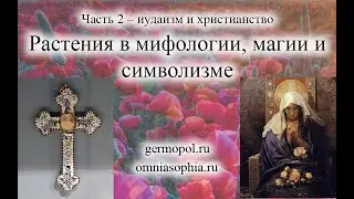 Растения в магии и мифологии. Часть 2 – иудаизм и христианство.