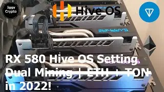 RX 580 Hive OS Setting Dual Mining | ETH + TON in 2022!