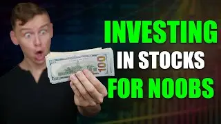 How To Invest In Stocks For Beginners (2021)