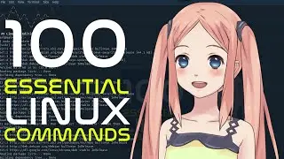 Top 100 Essential Linux & Terminal Commands - Beginner to Guru