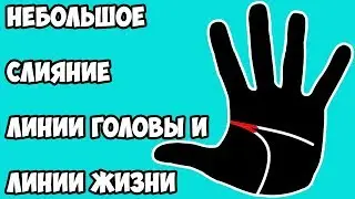 СЛИЯНИЕ ЛИНИИ ГОЛОВЫ и ЛИНИИ ЖИЗНИ НА НЕБОЛЬШОМ УЧАСТКЕ / хиромантия / Кладезь Хиромантии