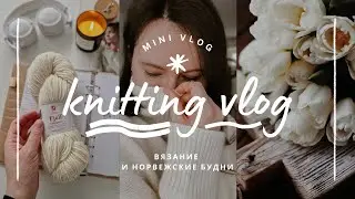 vlog 11/24 | вязальные новости 🧶 мои новые процессы и покупки пряжи ✨️🎁 #тайная_коробочка