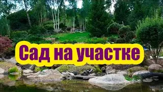 КАК СДЕЛАТЬ КРАСИВЫЙ И СОВРЕМЕННЫЙ САД НА УЧАСТКЕ