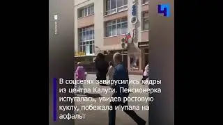 В Калуге аниматор в костюме гориллы напугал пенсионерку и СМИ