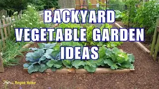 Small Space Vegetable Garden Ideas For Backyards Compact And Productive Backyard Vegetable Garden