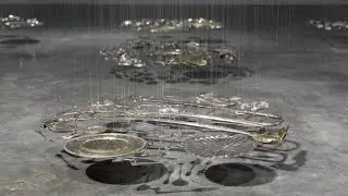 Cornelia Parker | Final Weeks