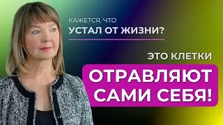 Почему появляется «хроническая усталость»?